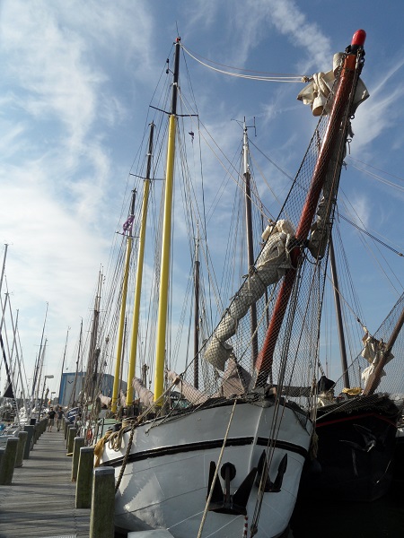 De Grote Beer der Holland Sail
