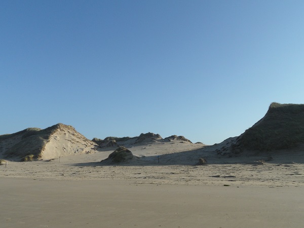 die Dünen von Egmond auf meinem Strandspaziergang