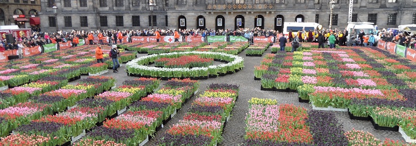 Tulpendag 2015 in Amsterdam