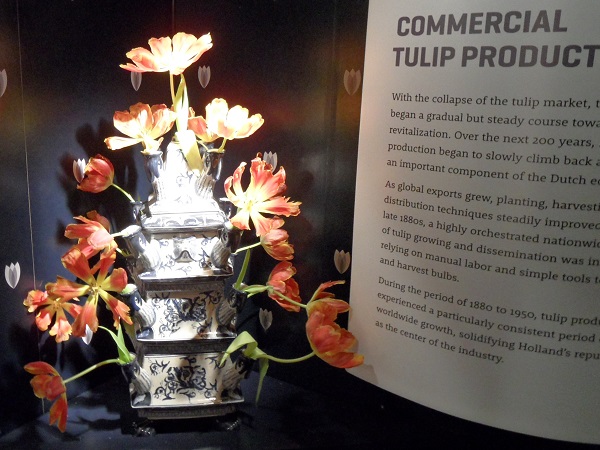 die Tulpe als Produkt im Tulpenmuseum