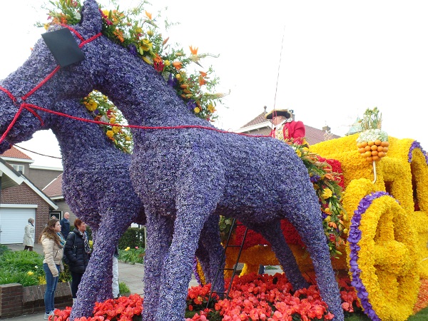 die goldene Kutsche mit den blauen Pferden Blumenkorso 2015