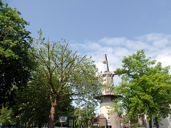 Mühle "Die 3 Kornblumen" in Schiedam